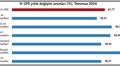 Türkiye İstatistik Kurumu’nun (TÜİK), açıkladığı temmuz ayına ilişkin Hizmet Üretici
