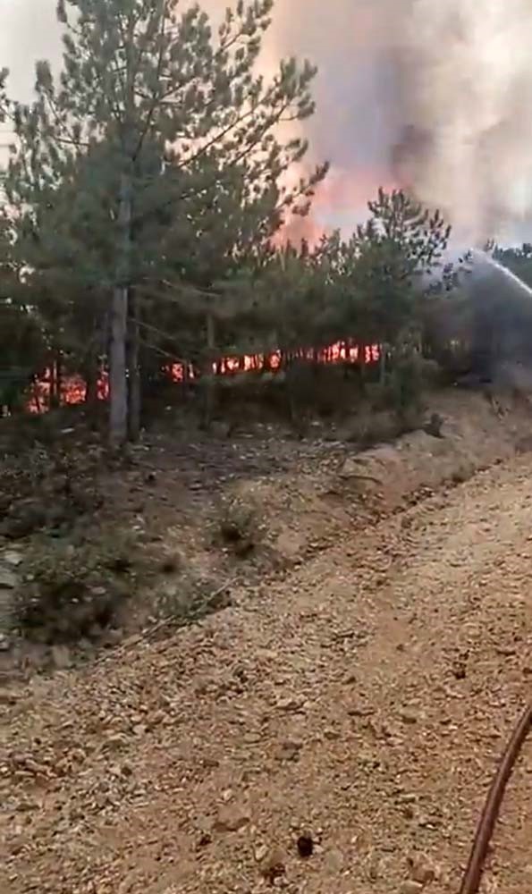 Afyonkarahisar’daki yangın kontrol altına alındı