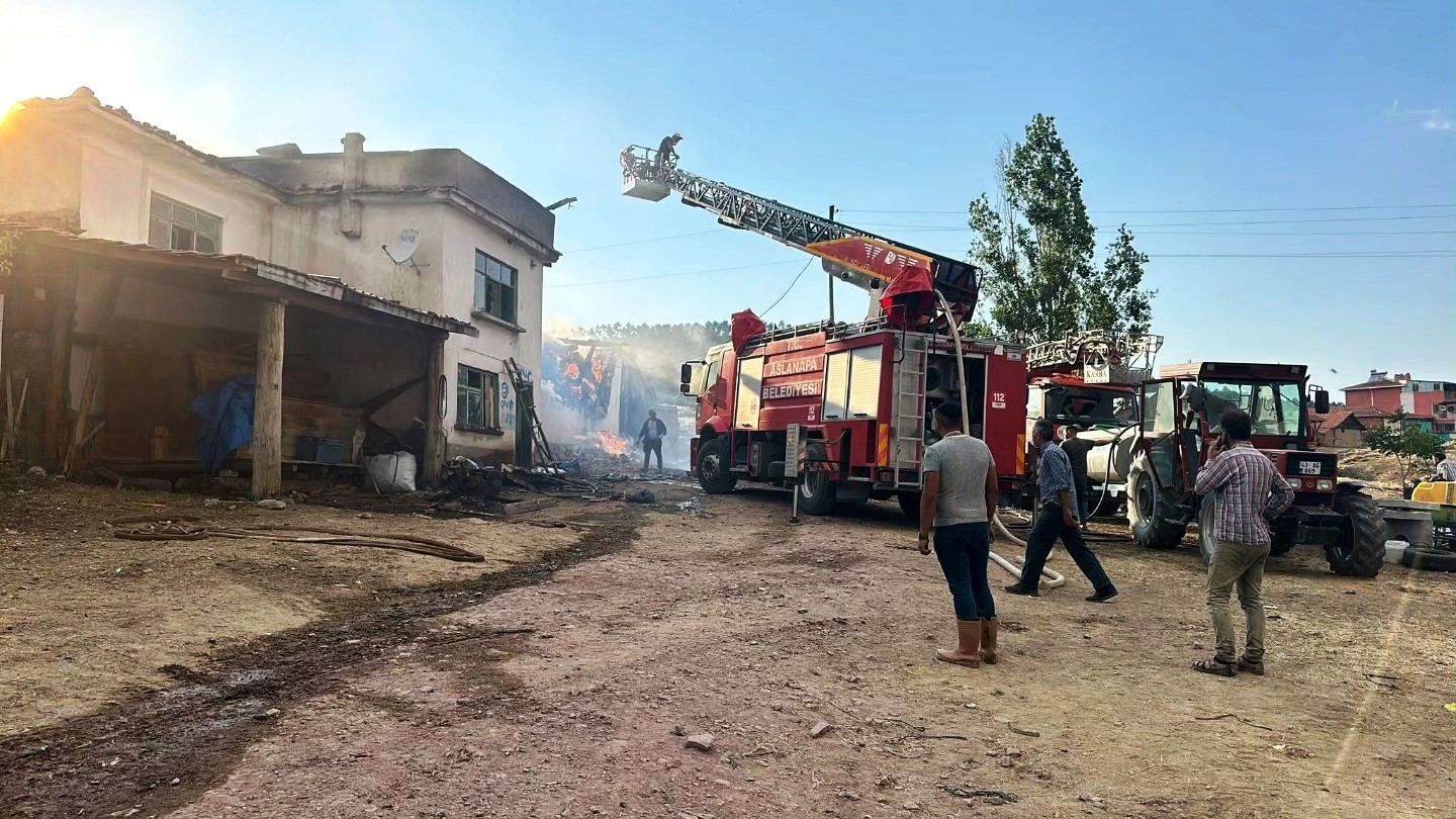 Aslanapada Çıkan Yangında 14 Büyükbaş Hayvan Telef Oldu