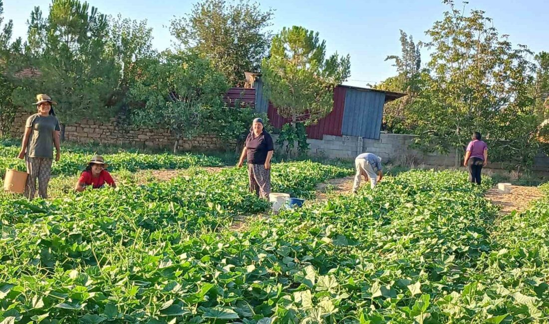 AFYONKARAHİSAR’IN BAŞMAKÇI İLÇESİNDE KORNİŞON