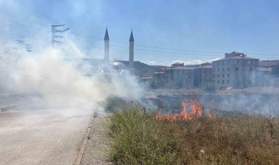 ESKİŞEHİR'DE BOŞ ARAZİDE ÇIKAN