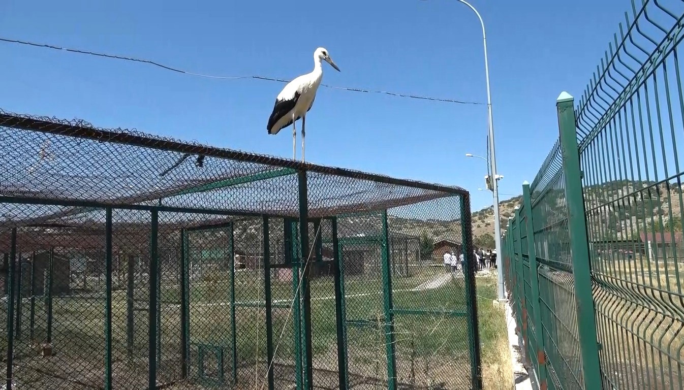 Bu Da Kütahyanın Yareni̇