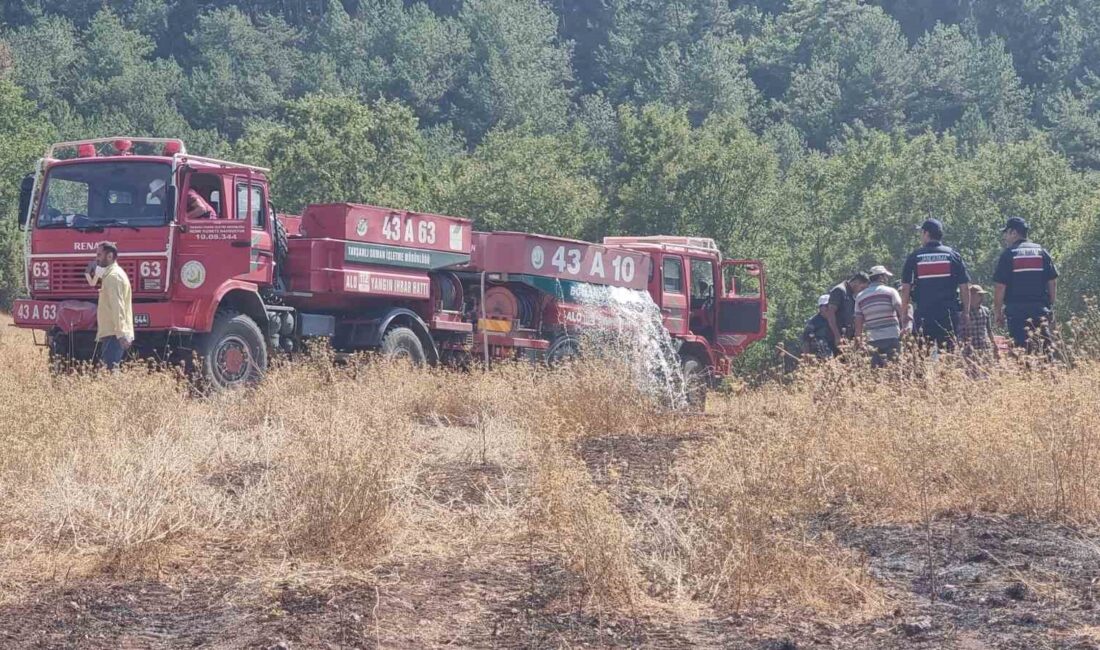 KÜTAHYA'DA YILDIRIM DÜŞMESİ SONUCU