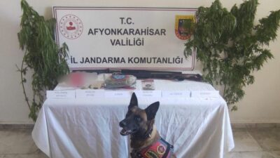 AFYONKARAHİSAR’DA EVİNİN BAHÇESİNE KENEVİR EKEN ŞAHIS JANDARMANIN DÜZENLEDİĞİ OPERASYONLA YAKALANIRKEN,