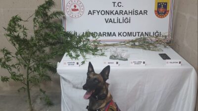 JANDARMA’DAN UYUŞTURUCUYA GEÇİT YOK