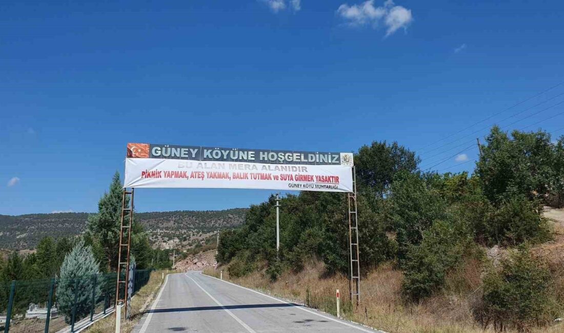 KÜTAHYA'DA GÜNEY KÖYÜ PİKNİKÇİLERE