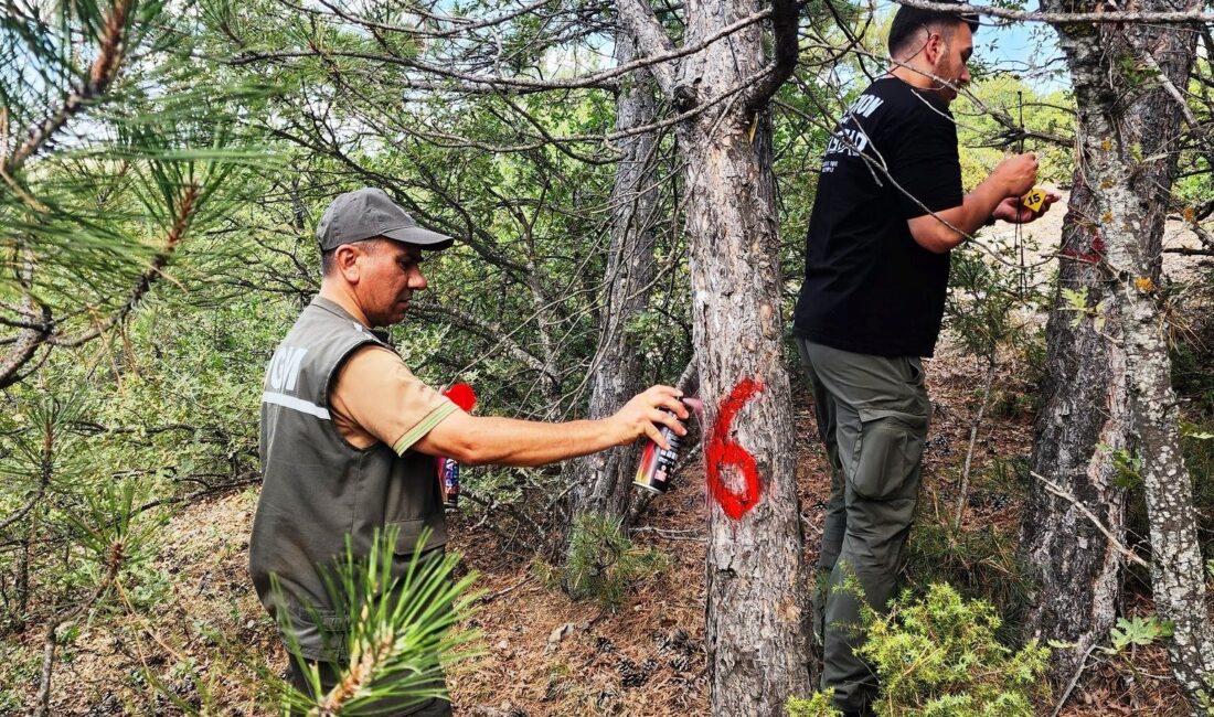 KÜTAHYA’DA HAVA KİRLİLİĞİ ETKİLERİNİN