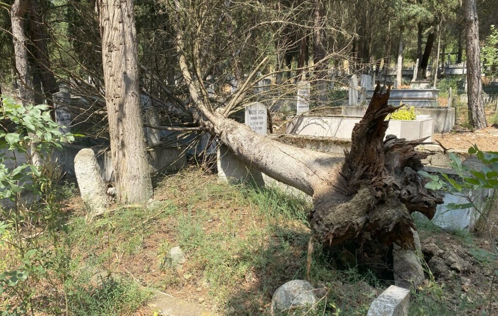 GÖLPAZARI İLÇESİNDE MEZARLARIN ÜZERİNE