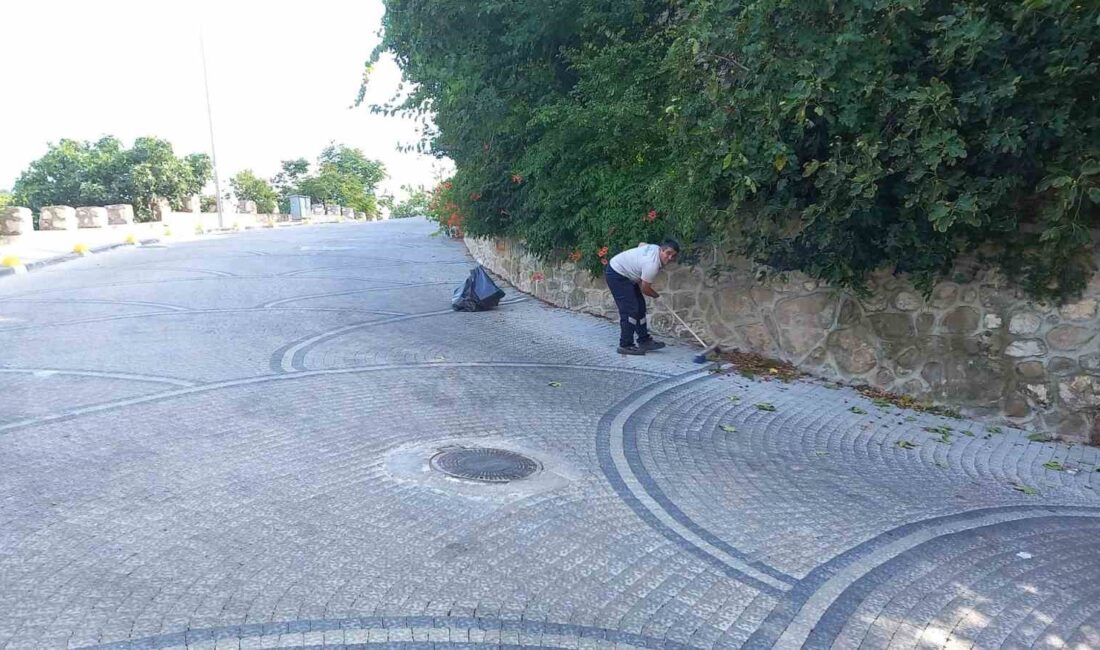 ŞEYH EDEBALİ TÜRBESİ'NDE KAPSAMLI