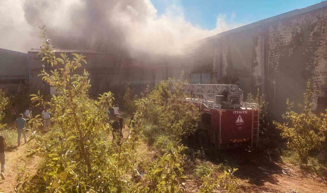 ISPARTA’NIN GELENDOST İLÇESİNDE BULUNAN