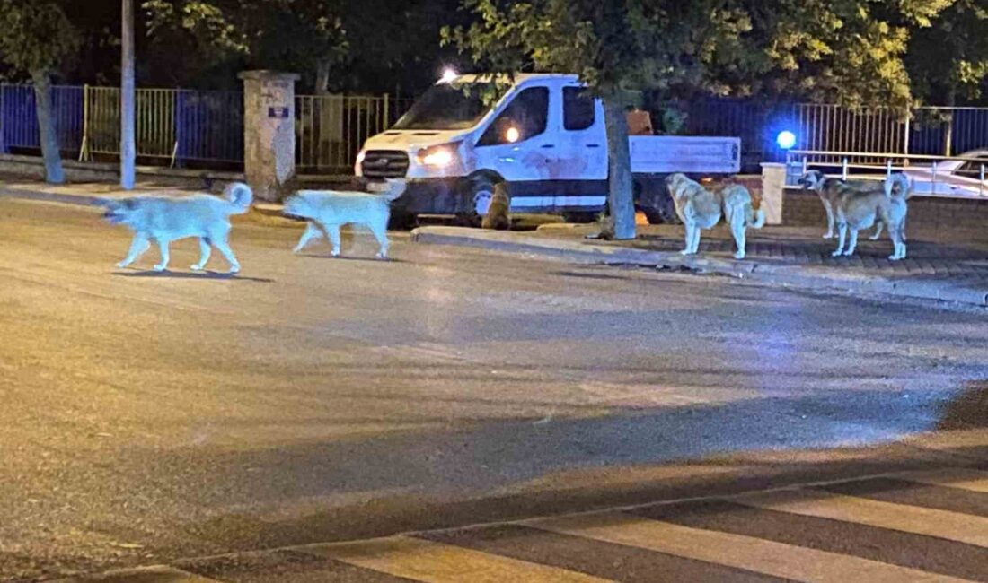 ESKİŞEHİR'DE MAHALLELERİNİN ANA CADDESİNDE