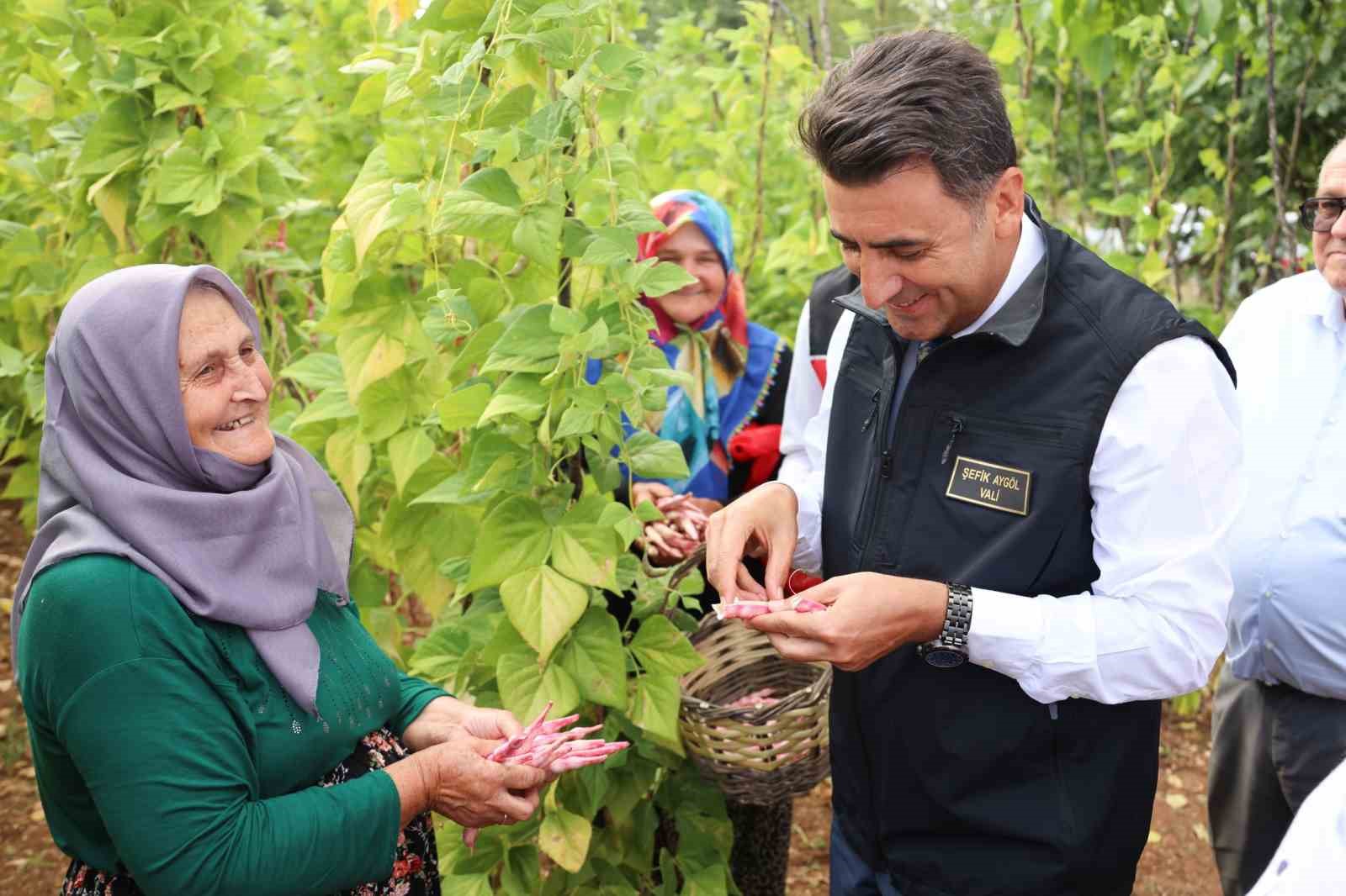 Türki̇yeni̇n En Güzel Barbunyası: Kınık Barbunyası