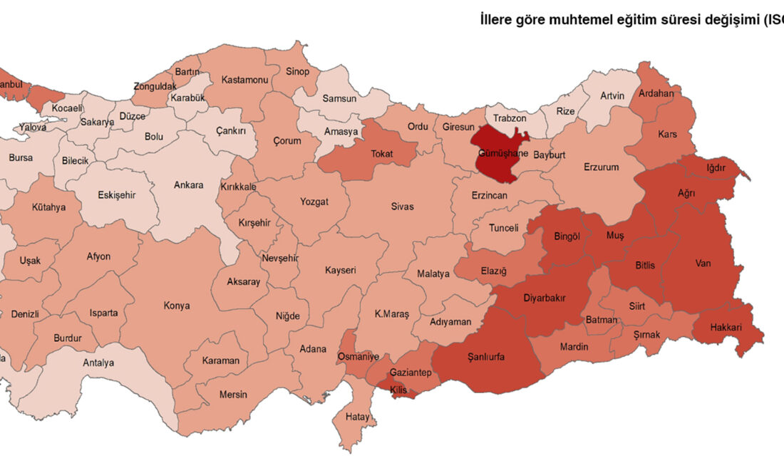 TÜİK’in açıkladığı 2023 yılı