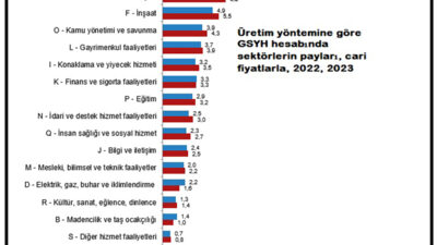 TÜİK, ‘Dönemsel Gayrisafi Yurt İçi Hasıla (GSYH), II. Çeyrek: Nisan-Haziran