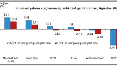Türkiye İstatistik Kurumu (TÜİK), ağustos ayına ilişkin Finansal Yatırım Araçlarının