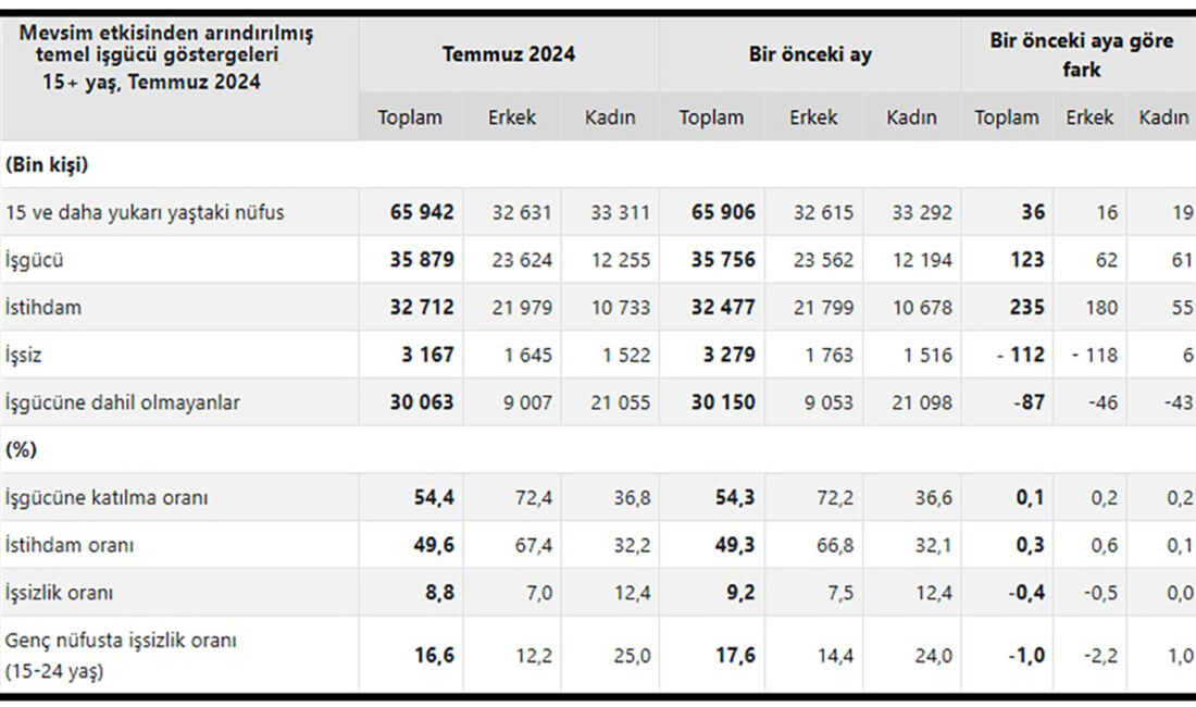 TÜİK Hanehalkı İşgücü Araştırması