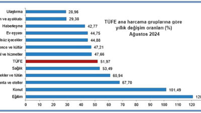 Türkiye İstatistik Kurumu tarafından ağustos ayına ait enflasyon oranı yüzde