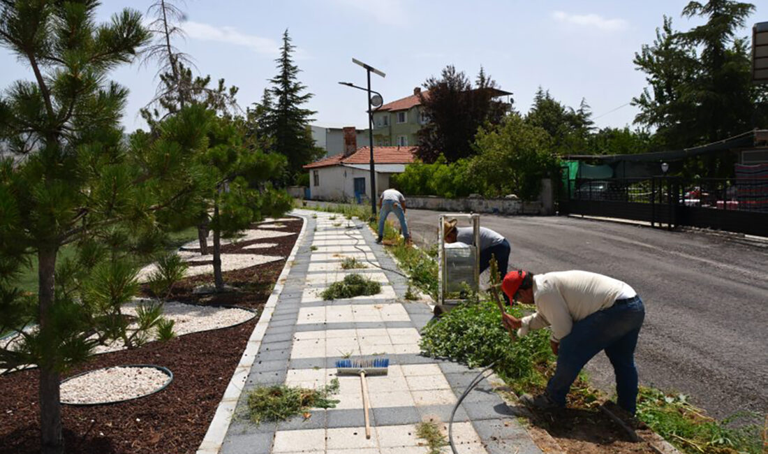 Sandıklı Belediyesi İklim Değişikliği