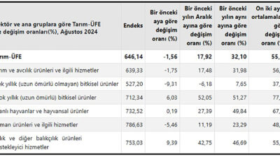 Türkiye İstatistik Kurumunun (TÜİK) açıkladığı ağustos ayı Tarım Ürünleri Üretici