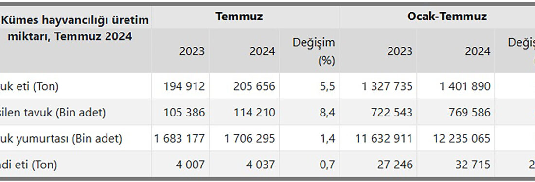 Türkiye İstatistik Kurumu temmuz