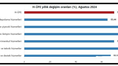 TÜİK verilerine göre, ağustos ayında Hizmet Üretici Fiyat Endeksi (H-ÜFE)