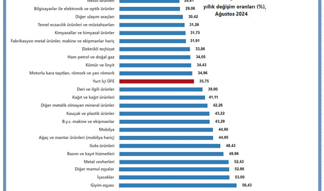 TÜİK, ağustos ayı Yurt