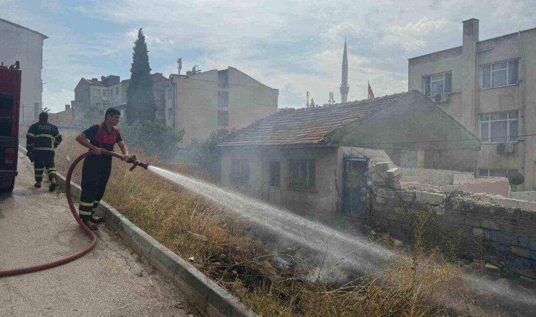 BENZİNLİK ARKASINDA ÇIKAN OT