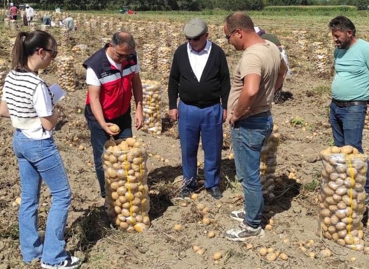 Altıntaş’ta patates ekiliş ve hasat kontrolleri