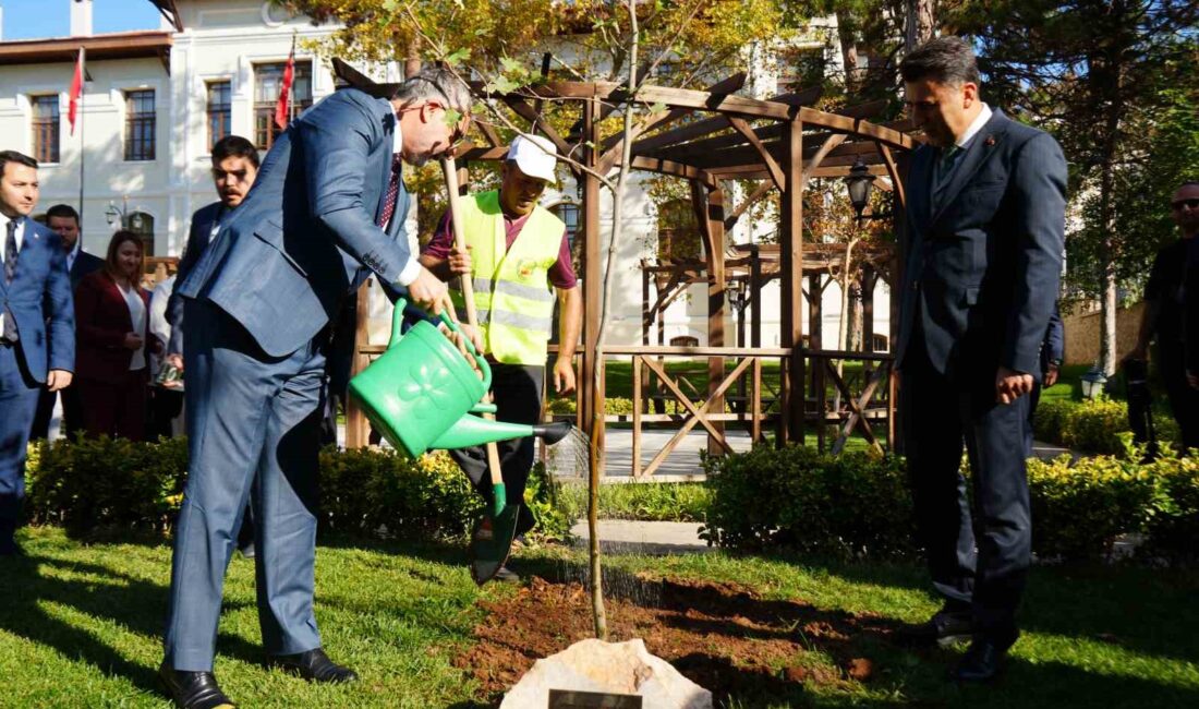 ÇALIŞMA VE SOSYAL GÜVENLİK