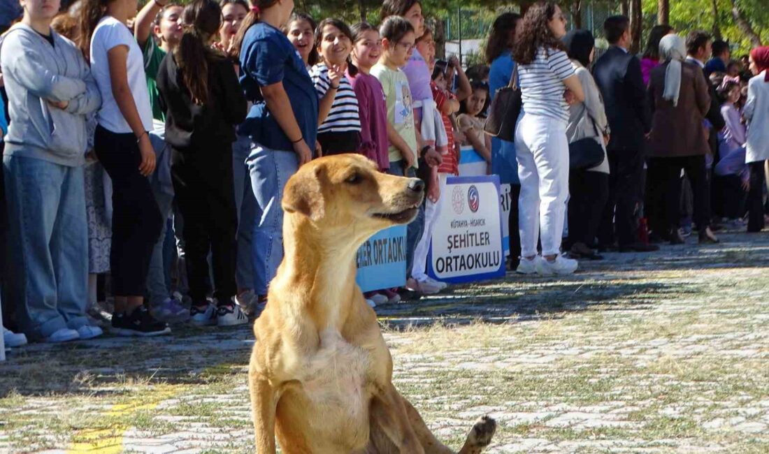 HİSARCIK’TA İLKÖĞRETİM HAFTASI KUTLAMALARINA