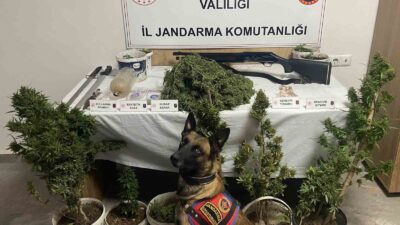 AFYONKARAHİSAR’DA JANDARMA TARAFINDAN BİR İLÇE VE 3 BELDEDE GERÇEKLEŞTİRİLEN UYUŞTURUCU