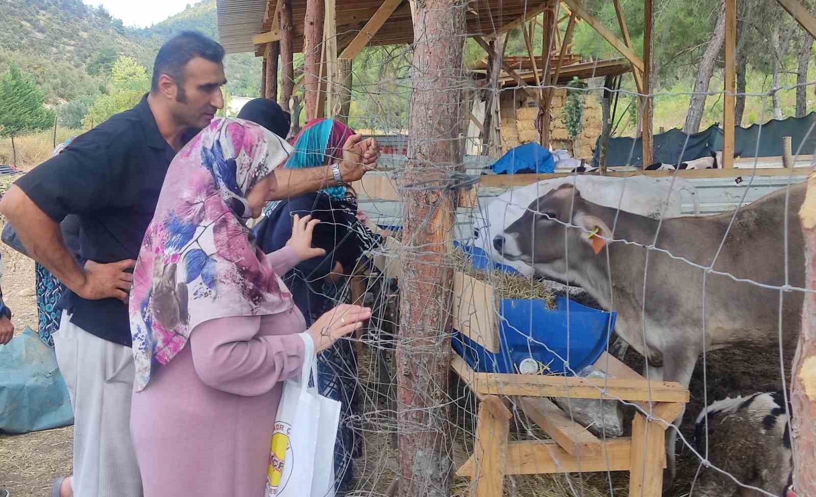 Kütahyalı kadın üreticiler Permakültür çiftliğinde