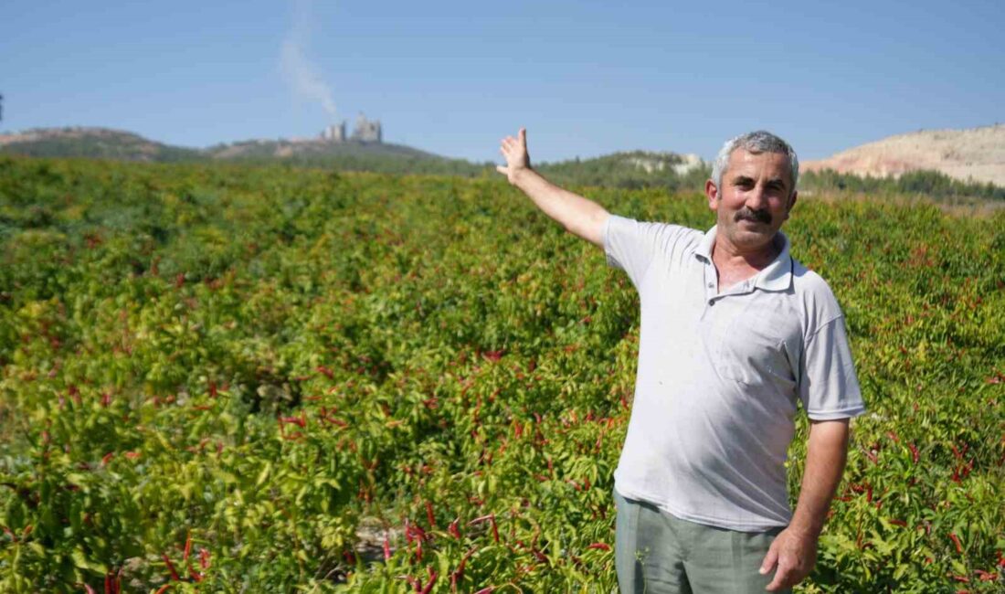 ÇUKURÖREN KÖYÜ MUHTARI MUHİTTİN