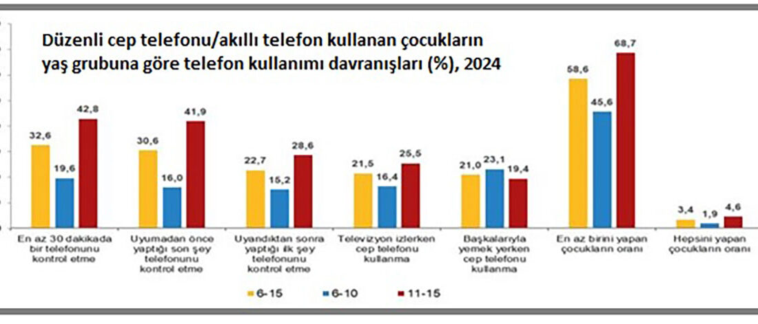 TÜİK’in bu yıl yaptığı