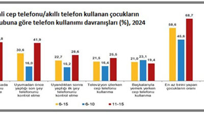 TÜİK’in bu yıl yaptığı Çocuklarda Bilişim Teknolojileri Kullanım Araştırması sonuçlarına
