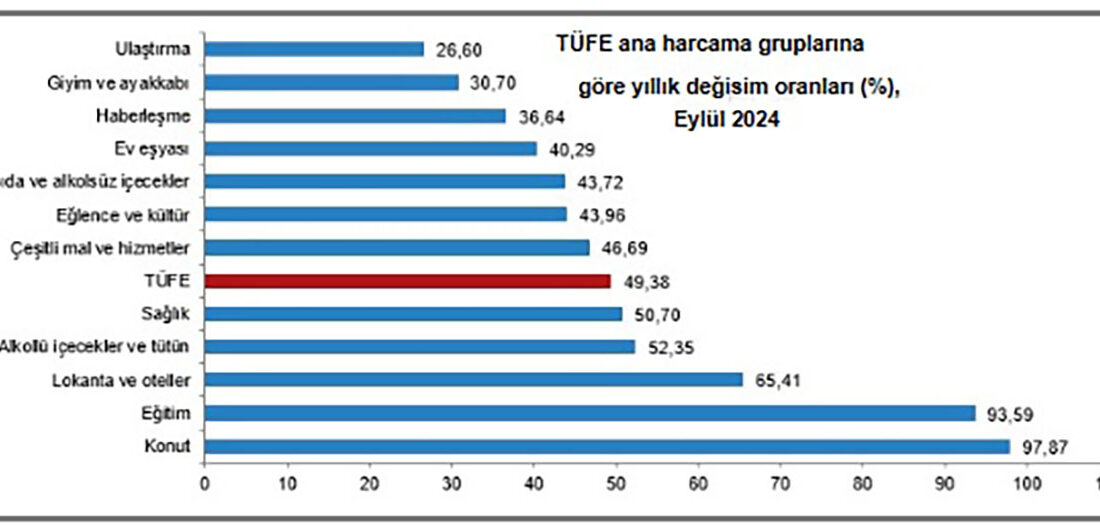 Türkiye İstatistik Kurumu (TÜİK)