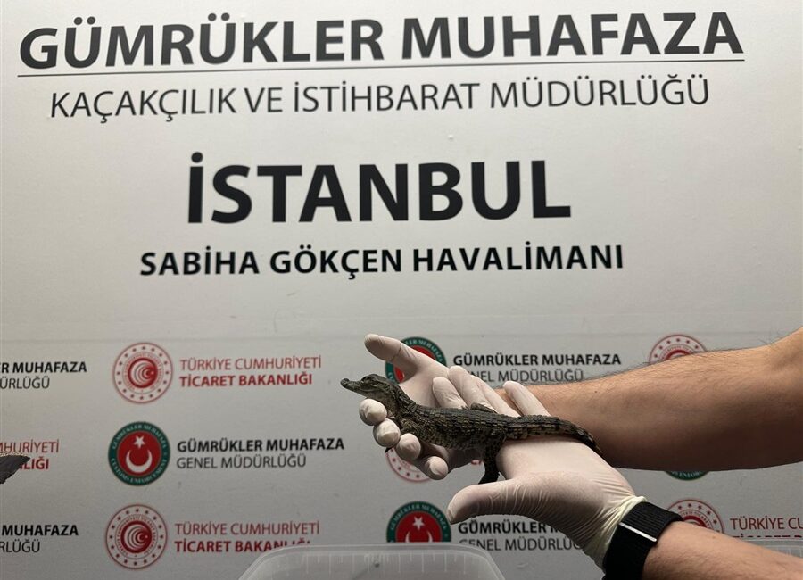 Ticaret Bakanlığı Gümrükler Muhafaza