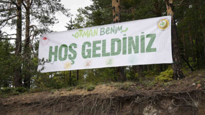 Gençlik ve Spor Bakanlığı koordinasyonu, Tarım ve Orman Bakanlığı iş