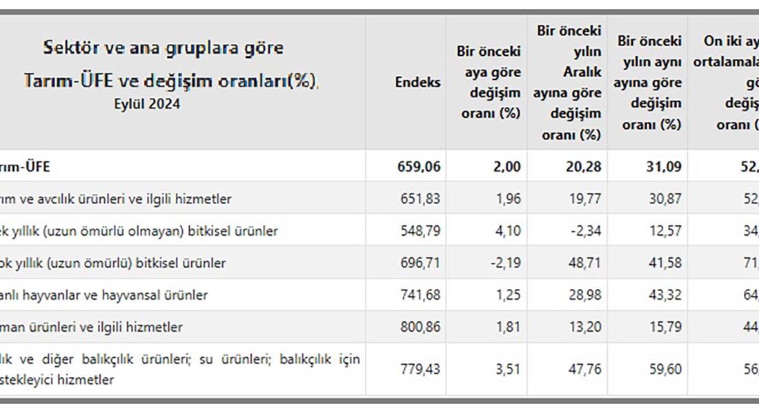 Türkiye İstatistik Kurumu (TÜİK)