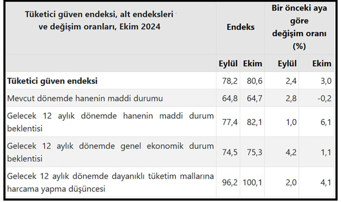 Türkiye İstatistik Kurumu (TÜİK)