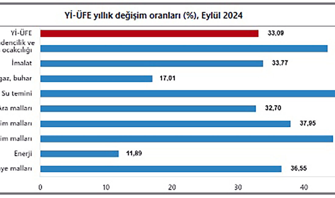 Türkiye İstatistik Kurumu (TÜİK)