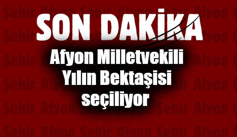 21.Dönem MHP Afyonkarahisar Milletvekili