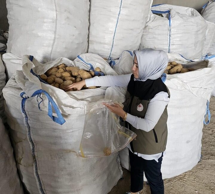 Afyonkarahisar’da Tunus’a 132 ton patates ihracatı yapıldı