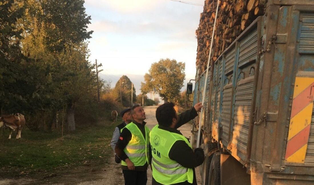 BİLECİK'TE EMVAL NAKLEDEN ARAÇLARIN