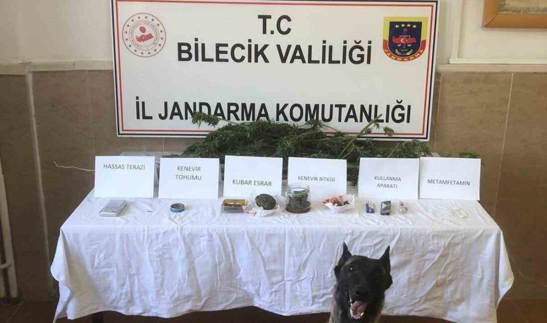 BİLECİK'TE JANDARMA TARAFINDAN YAPILAN