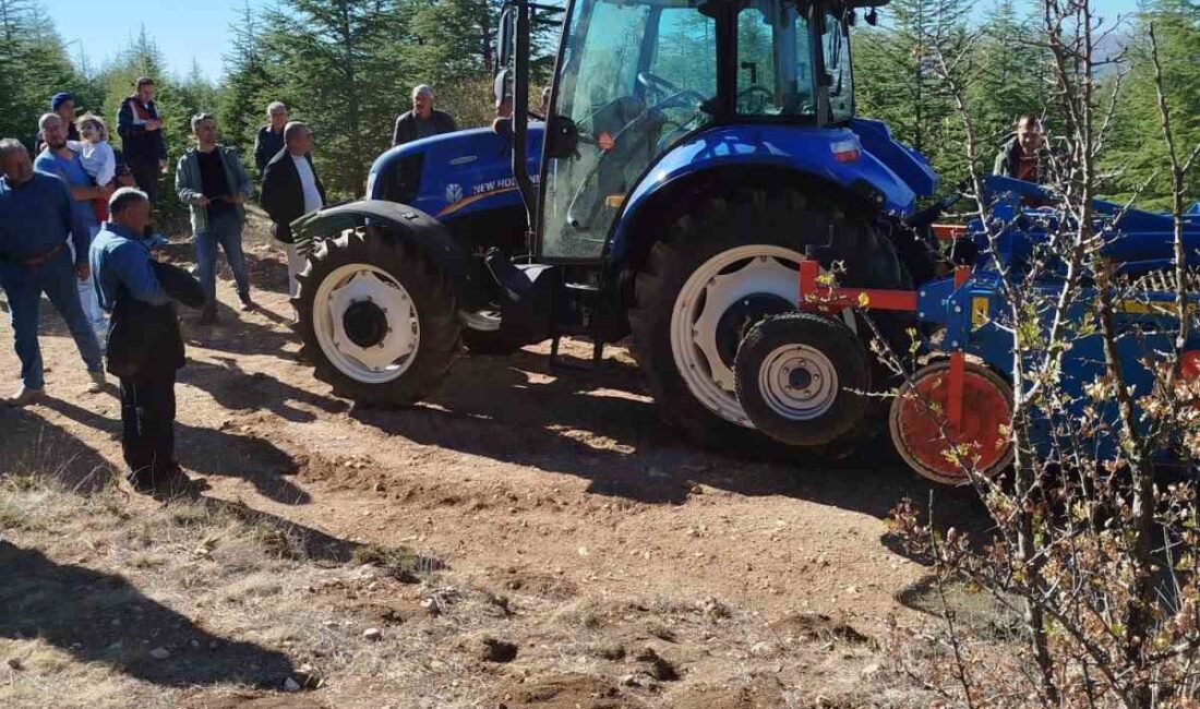 DURSUN TANRIVERDİ, TARLASINDAN 2