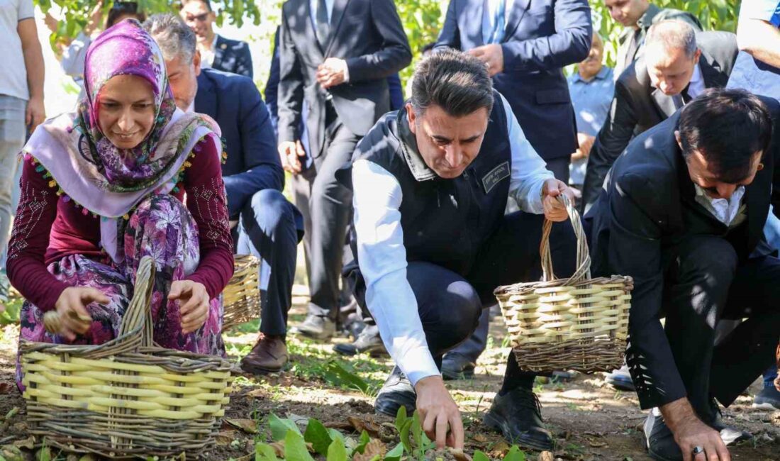 BİLECİK’İN GÖLPAZARI İLÇESİNE BAĞLI