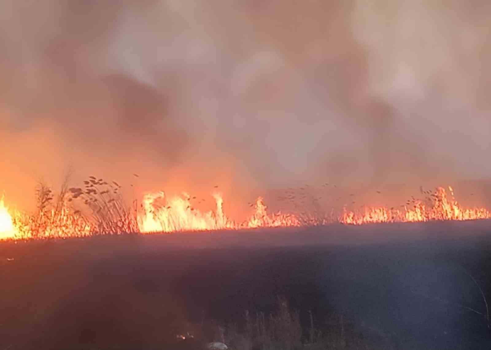 Eber Gölü’nde yangın