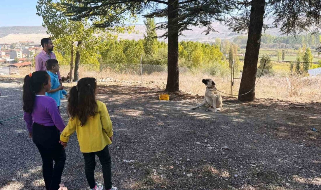 HİSARCIK’TA ÖZEL ÖĞRENCİLERE HAYVANLAR