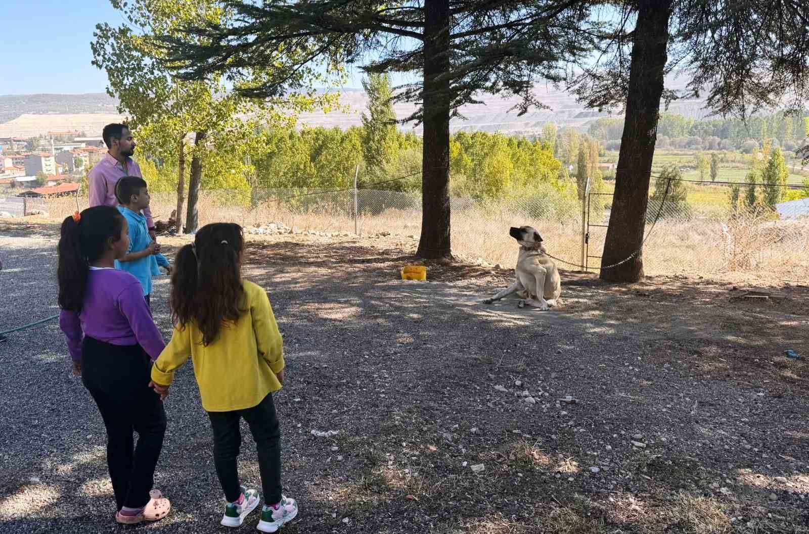 Hisarcık’ta özel öğrencilere hayvanlar tanıtıldı